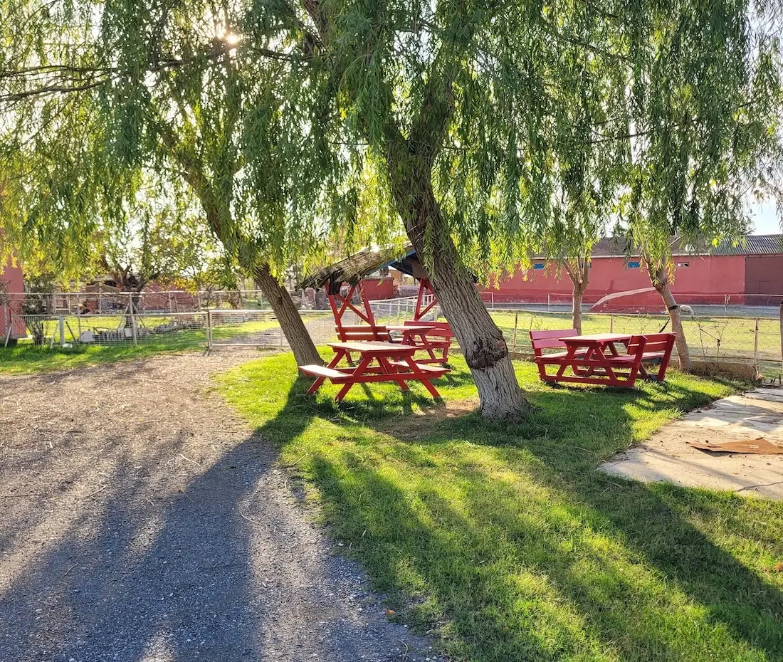Garden area